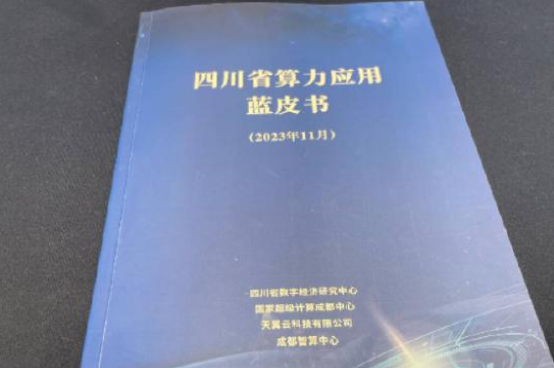 《四川省算力应用蓝皮书》发布  全省算力总规模发展迅速-脉山龙.png